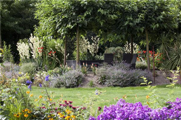 Was tun, wenn der Garten zu groß ist 