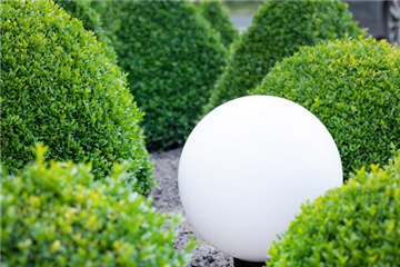 Spiele mit Farbe und Licht in Ihrem Garten 
