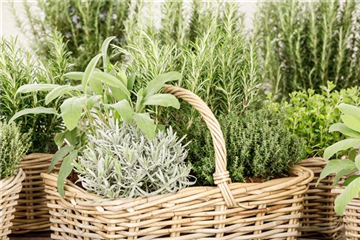Gartenzubehör – Helfer bei der Gartenarbeit 