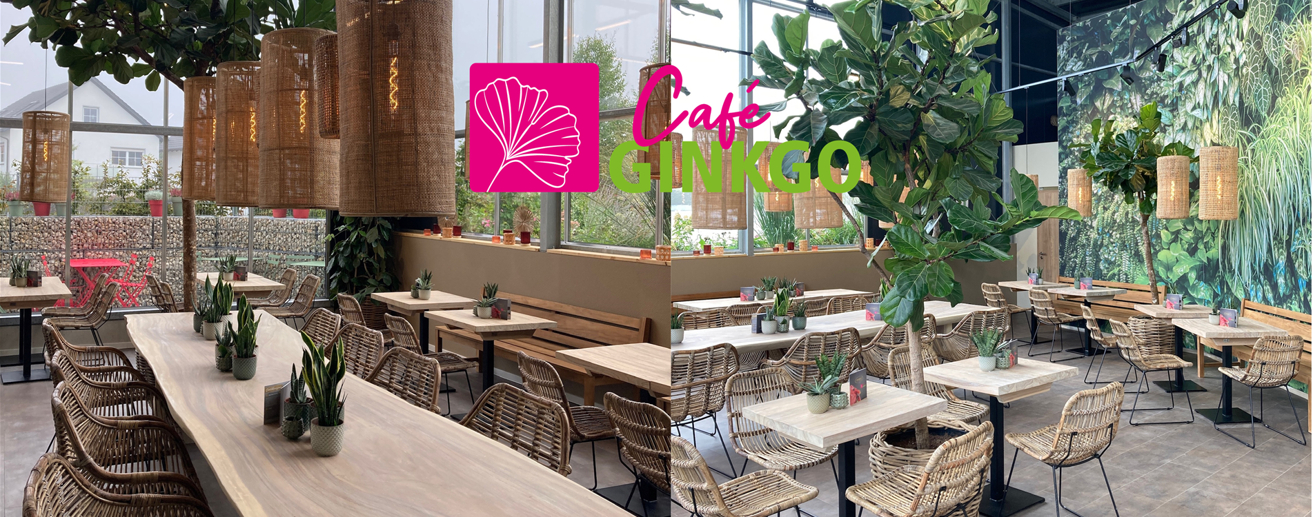 Café Ginkgo