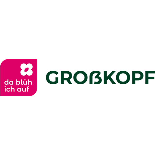 Zimmerpflanze