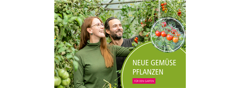 Neue Gemüse-Pflanzen